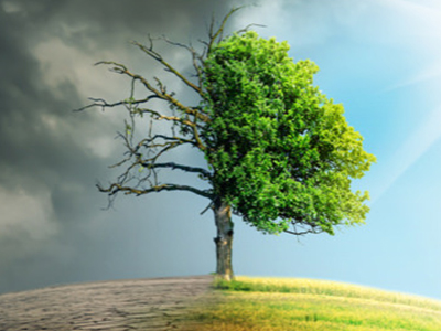 Climate Change and Global Warming