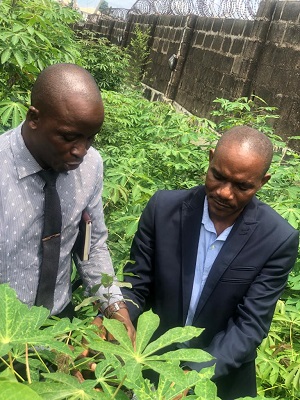 Tree planting at PATHFINDER College, Ibadan